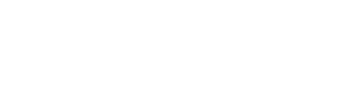 nanoVo Logo